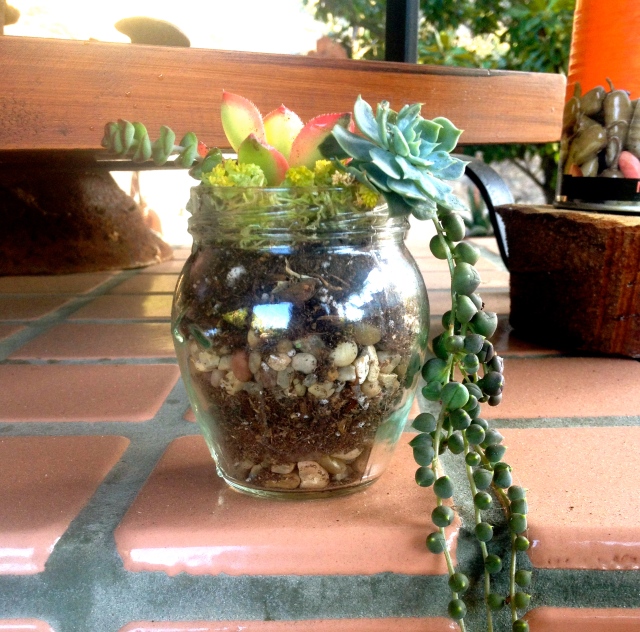 My Own Little Jar Photo by Vitoria Perez